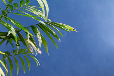 Similar image 21399432