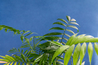 Similar image 21402722