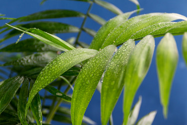 Similar image 21399435