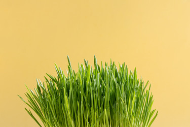 Similar image 21382964