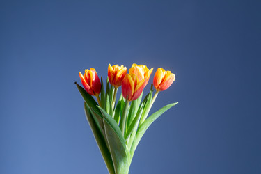 Similar image 21399440