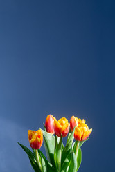 Similar image 21385439