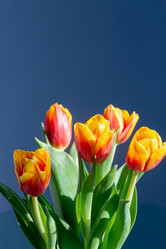 Similar image 21382967