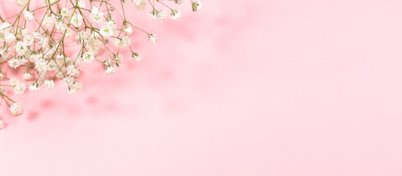 Similar image 21384635