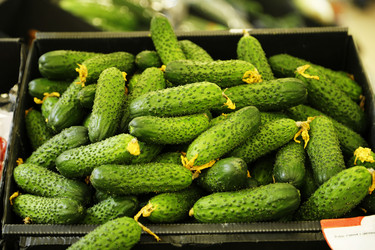 Similar image 21382058