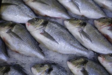 Similar image 21382059