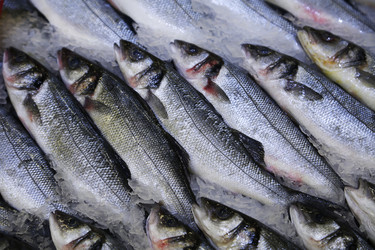 Similar image 21382060