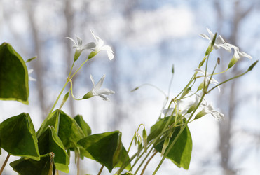 Similar image 21401036