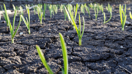 Similar image 21401055