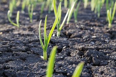 Similar image 21401057