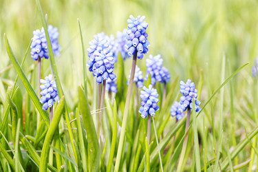 Similar image 21401059