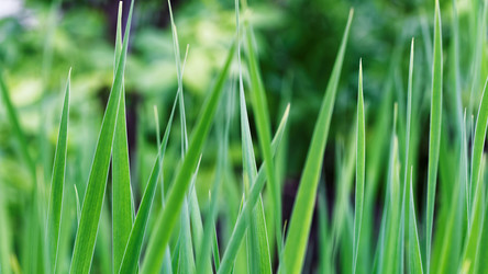 Similar image 21401066