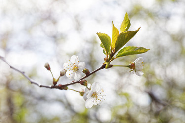 Similar image 21401067