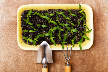 Similar image 21401068