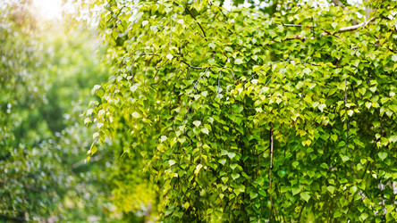 Similar image 21401071