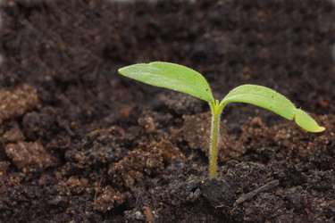 Similar image 21401072