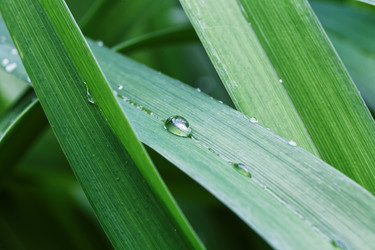 Similar image 21401073