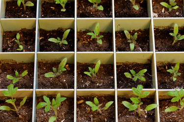 Similar image 21401074