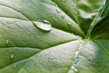 Similar image 21401075