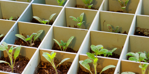 Similar image 21401076