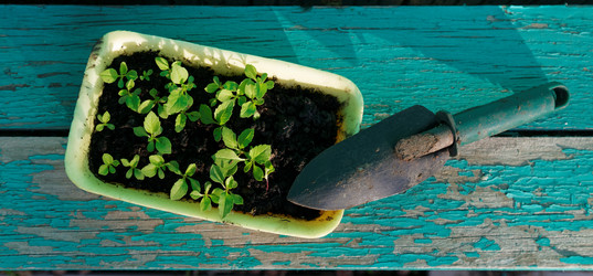 Similar image 21401078