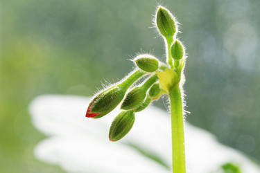 Similar image 21401235