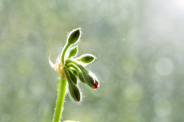 Similar image 21401237