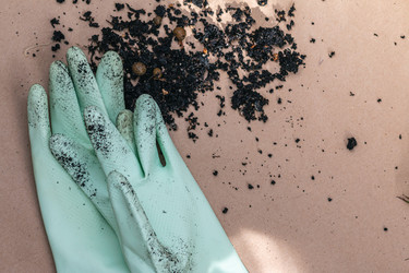 Similar image 21382976