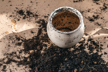 Similar image 21385441