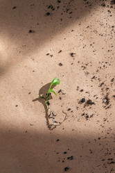 Similar image 21385442