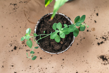 Similar image 21385443