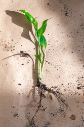 Similar image 21382979