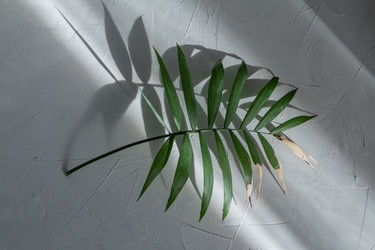 Similar image 21424767