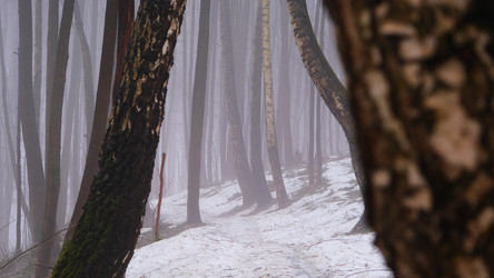 Similar image 21382200