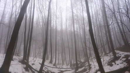 Similar image 21382202