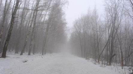 Similar image 21382205