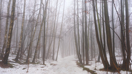 Similar image 21382206