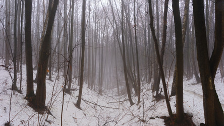 Similar image 21382207