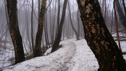 Similar image 21382208