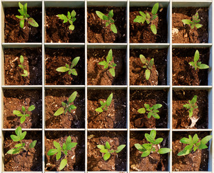 Similar image 21389514