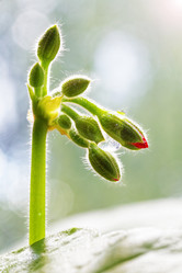 Similar image 21389515