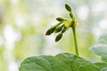 Similar image 21400615