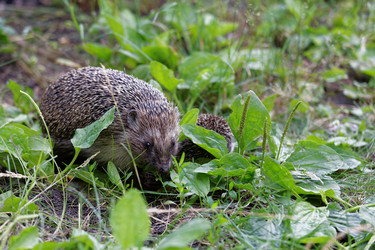 Similar image 21400616