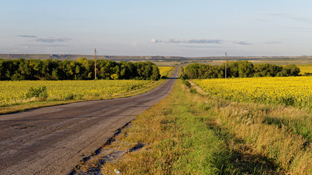 Similar image 21400618