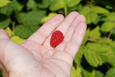 Similar image 21400620