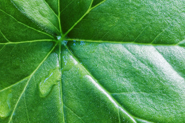 Similar image 21400621