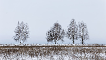 Similar image 21400696