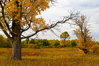 Similar image 21400735