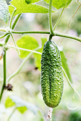 Similar image 21400737