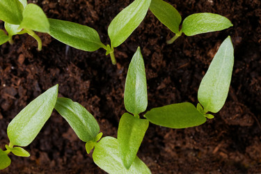 Similar image 21400740